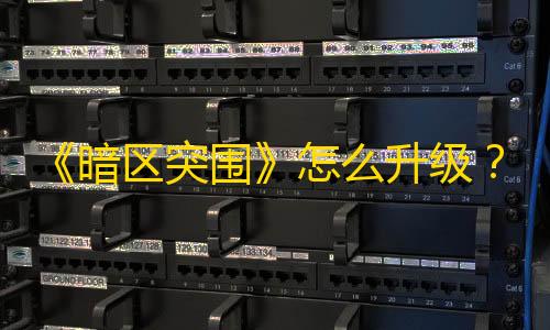 辅助低价发卡网《暗区突围》怎么升级？《暗区突围》迅速升级攻略